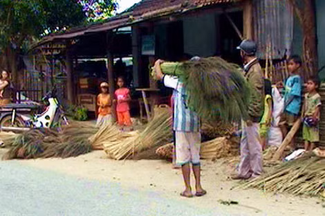 Nhiều học sinh bỏ học đi chặt đót đưa đến bán tại các điểm thu mua ở xã Trà Lãnh.