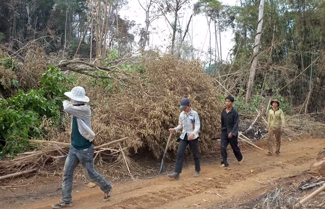 Người dân cùng các cơ quan chức năng tổ chức vây bắt đối tượng vào chiều 25-6