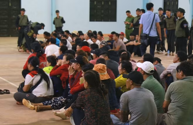 Hàng trăm đối tượng bị bắt giữ