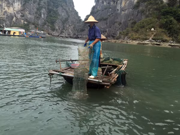Phương tiện sử dụng lưới bát quái. Phương tiện sử dụng lưới bát quái.