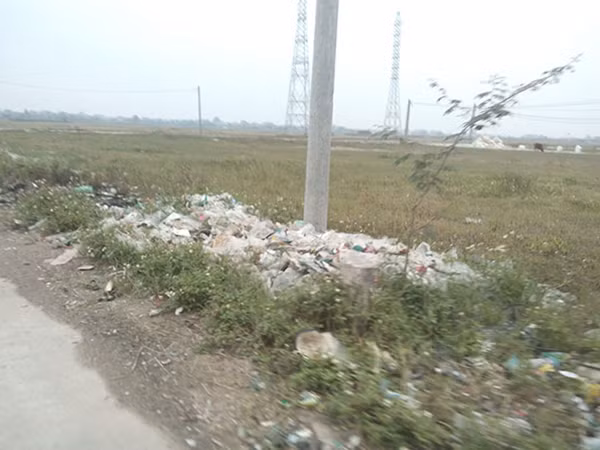 Khu vực đất được quy hoạch làm dự án được bỏ hoang.