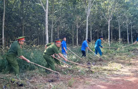 CBCS phòng Hậu cần - Kỹ thuật phối hợp với đoàn viên địa phương phát quang bụi rậm tại xã Hưng Hòa, huyện Bàu Bàng.