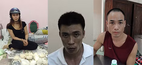Các đối tượng trong đường dây vận chuyển, mua bán trái phép chất ma túy do Trần Chánh Tâm, Vũ Xuân Nhật cầm đầu.