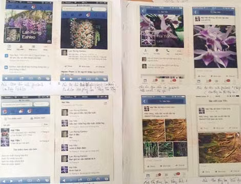 Hình ảnh trang Facebook "Hải Yến (Vườn Lan)" của Đỗ Thành Luân và "Lan rừng Eahleo" của anh Huỳnh Quang Đức.
