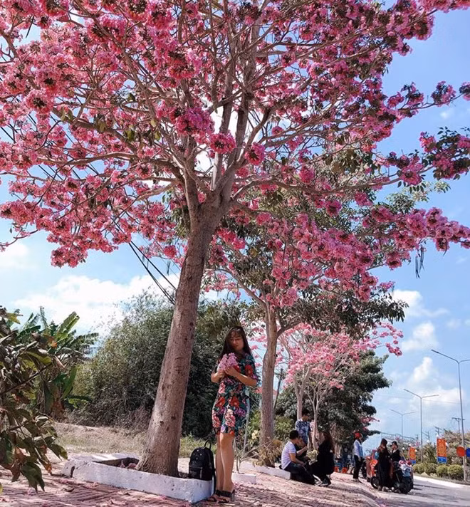Vẻ đẹp lãng mạn hoa và người.
