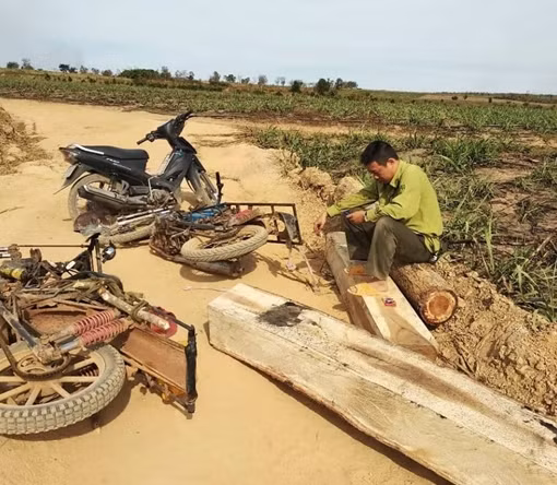 “Nóng” về vi phạm môi trường và khai thác, vận chuyển gỗ trái phép ảnh 2