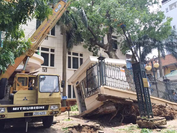Đến 16h ngày 14/6, cần cẩu vẫn được huy động đến để cưa cây đổ, bật gốc nhà bảo vệ tại Viện Kiểm nghiệm thuốc Trung ương.