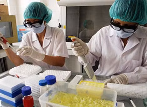 Nuôi cấy điều trị vô sinh tại Trung tâm Công nghệ Phôi.