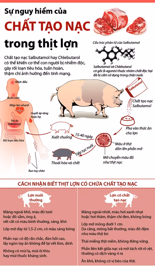Khuyến cáo về việc salbutamol bị dùng sai mục đích sẽ gây hại cho sức khỏe con người