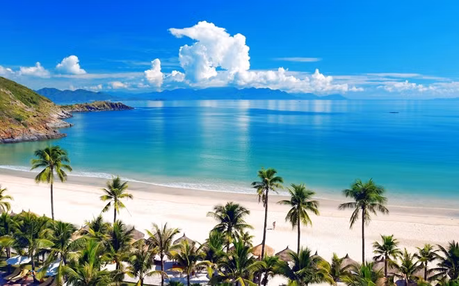 Sẽ thả muỗi vằn phòng bệnh sốt xuất huyết và Zika ở Nha Trang