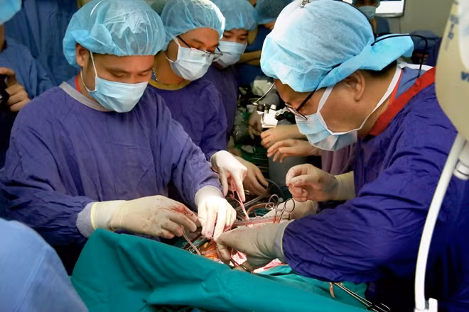 Thuốc kháng sinh có vai trò quan trọng trong việc ghép tạng