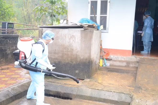 Phun hóa chất là biện pháp hiệu quả để phòng bệnh do virus Arbo