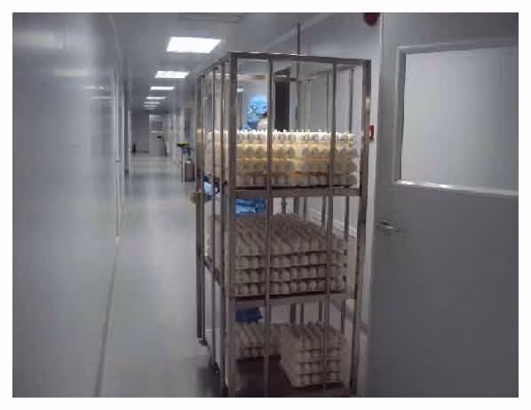 Nuôi cấy virus trên trứng gà có phôi
