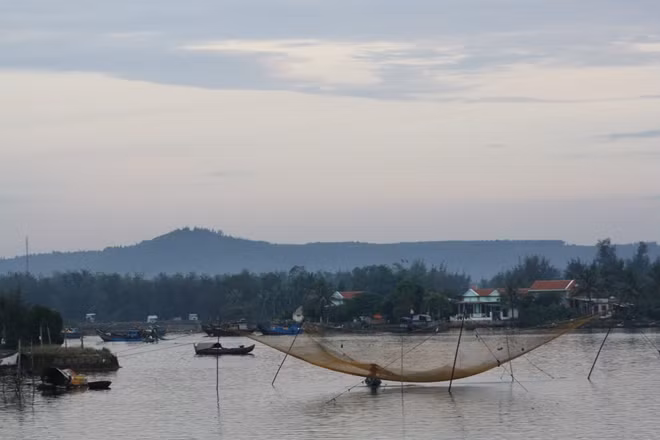 Cá biển ở miền Trung vẫn cần kiểm nghiệm về độ an toàn