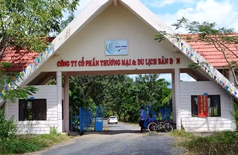 Sai phạm, thua lỗ nghiêm trọng tại Công ty Cao su Đắk Lắk 