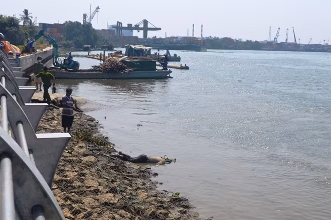 Cơ quan điều tra đang làm rõ nguyên nhân