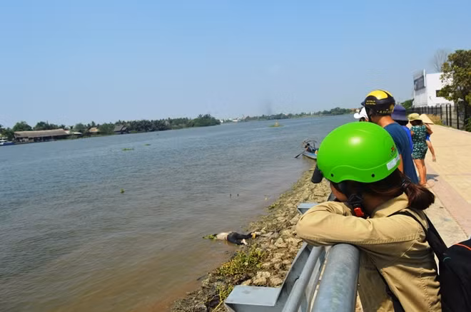Nạn nhân được ông Ba Chúc dùng ghe kéo vào bờ