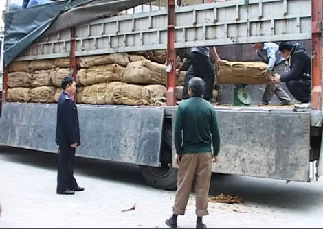 Xe ô tô tải trọng lớn chở lá thuốc lá do Trung Quốc sản xuất bị bắt giữ.