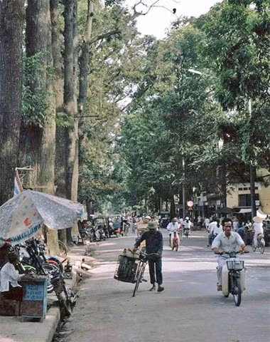 Với nhiều người, khi nhắc đến cây sao đen, cây gỗ quý nằm trong danh sách bảo tồn, người ta đều nhớ về phố Lò Đúc. Bức ảnh ghi lại con phố do Hans Peter Grumpe chụp.