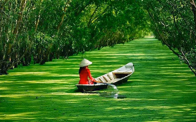 Chìm đắm trong sắc xanh trên cung đàn Trà Sư