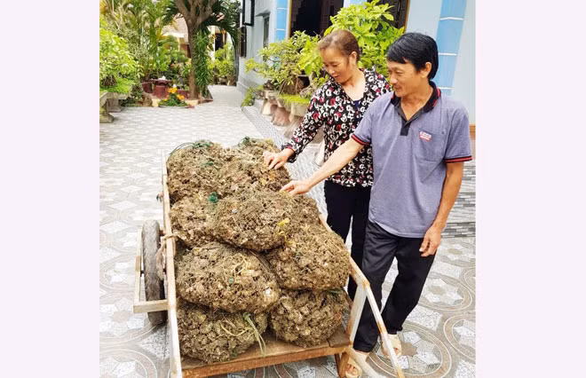Vợ chồng anh Lê Văn Đáng bên xe đầy hàu vừa được cha con anh lặn mang về từ lòng sông Nhật Lệ. Vợ chồng anh Lê Văn Đáng bên xe đầy hàu vừa được cha con anh lặn mang về từ lòng sông Nhật Lệ.