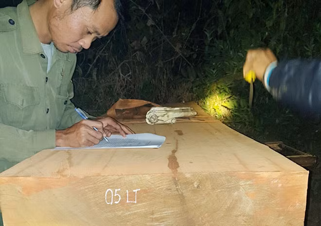Lực lượng BVR Công ty tiếp tục phát hiện, bắt giữ 13 lâm tặc vẫn chuyển gỗ lậu xuyên rừng rạng sáng 5/3.