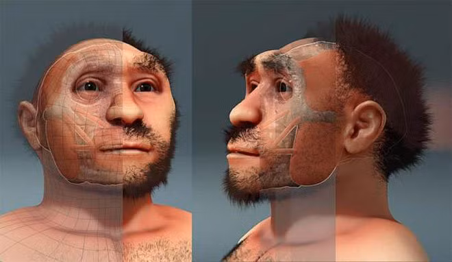 Người Homo erectus được cho không mang bộ gene di truyền đến người hiện đại.