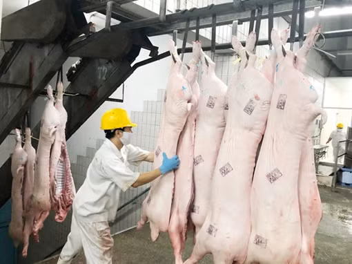 Giá thịt lợn sẽ tăng trở lại, người chăn nuôi được đề xuất hỗ trợ ảnh 3