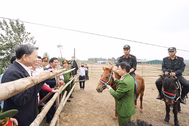 Bộ trưởng Tô Lâm thăm khu huấn luyện ngựa. Bộ trưởng Tô Lâm thăm khu huấn luyện ngựa.