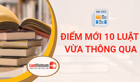 Công bố Lệnh của Chủ tịch nước về 5 luật vừa được Quốc hội thông qua ảnh 5