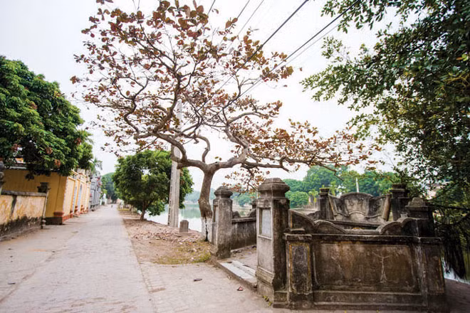 Phong cảnh xứ Đoài và làng quê Bắc Bộ.