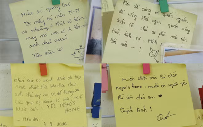 Lời cảm ơn của khách gửi đến ông chủ trẻ có tấm lòng yêu thương động vật.