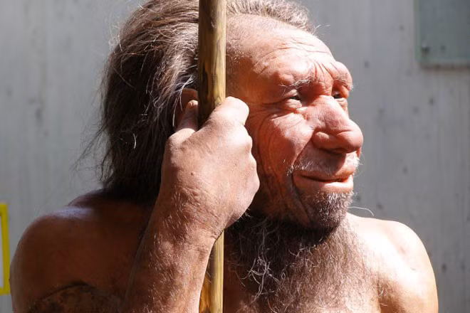 Dự án tái sinh người Neanderthal chịu nhiều phản đối.
