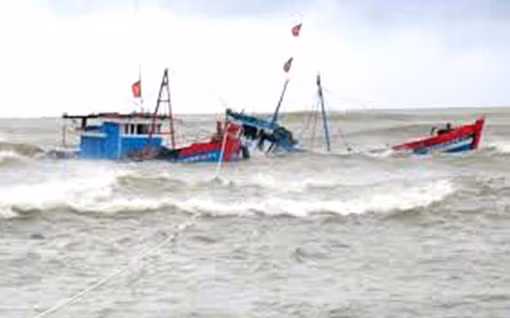 Tàu hàng đâm tàu cá chìm trên biển rồi bỏ chạy