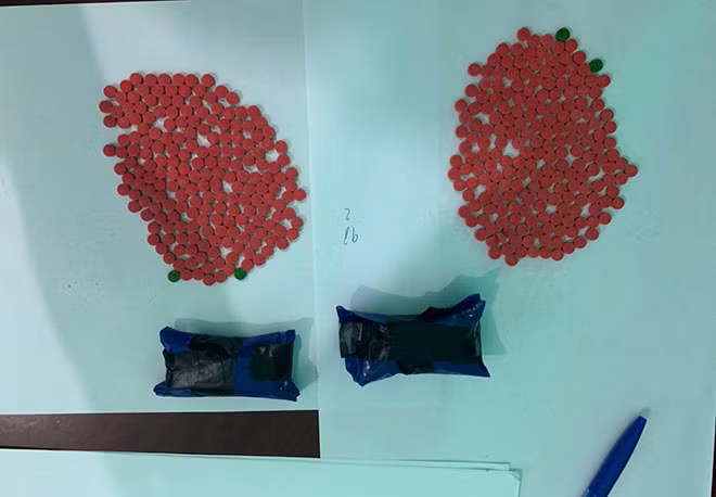 Số MTTH thu giữ. Số MTTH thu giữ.