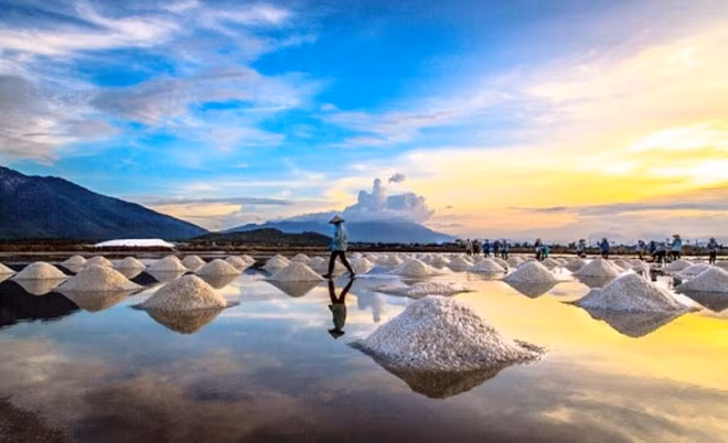 Cánh đồng muối.