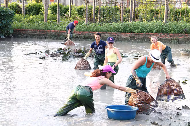 Lội bùn bắt cá, ốc, cua là những trải nghiệm khách du lịch rất thích khi đến miệt vườn. Ảnh minh họa:CTV