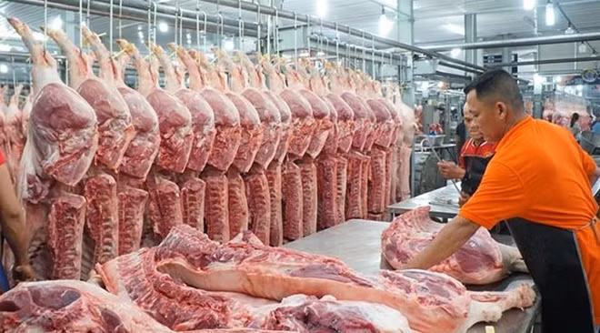 Các hộ chăn nuôi, trang trại nhỏ lẻ vẫn giữ giá xuất chuồng 73.000-78.000 đồng/kg lợn hơi.