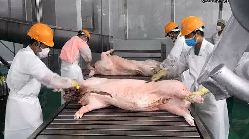 Nhiều doanh nghiệp cam kết đưa giá thịt lợn xuống mức 70.000 đồng/kg từ 1-4.