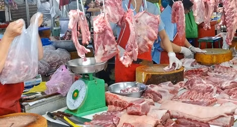 Giá lợn hơi về mức 70.000đ/kg từ ngày 1-4