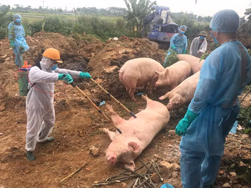 Đến tháng 5, các địa phương đã được hỗ trợ 5.459 tỷ đồng.