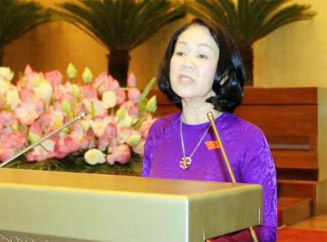 Chủ nhiệm Ủy ban về các vấn đề xã hội của Quốc hội Trương Thị Mai trình bày ý kiến về Điều 60 của Luật Bảo hiểm xã hội năm 2014. (Ảnh TTX).
