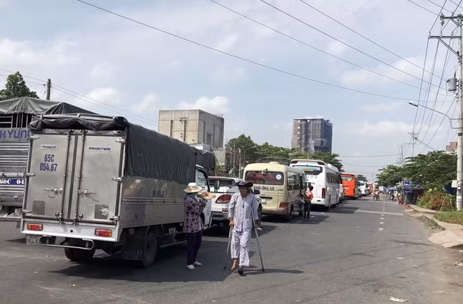 Ôtô nối đuôi, chờ qua phà Vàm Cống, phía bờ Lấp Vò.