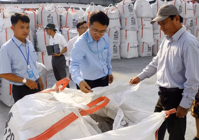 Tro bay được thu gom ở nhà máy