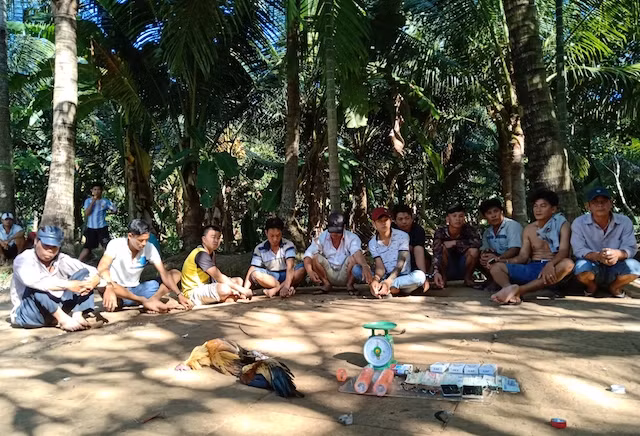 Nhóm người tham gia đá gà ăn tiền. Nhóm người tham gia đá gà ăn tiền.