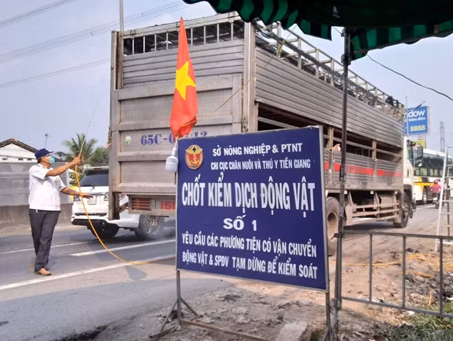 Lực lượng chức năng tỉnh Tiền Giang phun thuốc tiêu độc, khử trùng phương tiện vận chuyển lợn qua Tiền Giang.