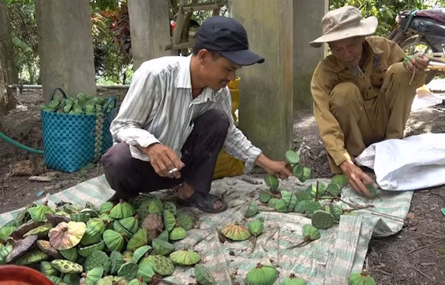 Ai cũng trân quý trước cốt cách Nam Bộ trong sáng, bình dị và hết sức gần gũi của ông Bảy.