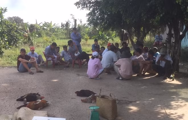 Những người bị bắt quả tang tại tụ điểm đá gà.