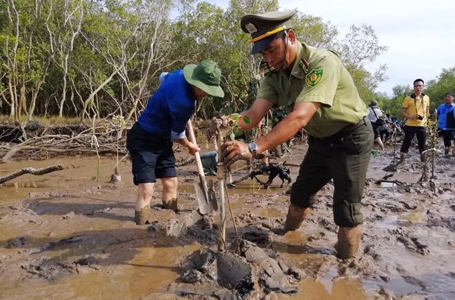 Các đoàn viên thanh niên và lực lượng kiểm lâm trồng rừng phòng hộ ven biển, phường Nhà Mát (Bạc Liêu).