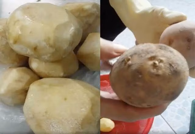 Hình ảnh củ sắn mốc trắng, khoai tây mọc mần được chia sẻ trên mạng.